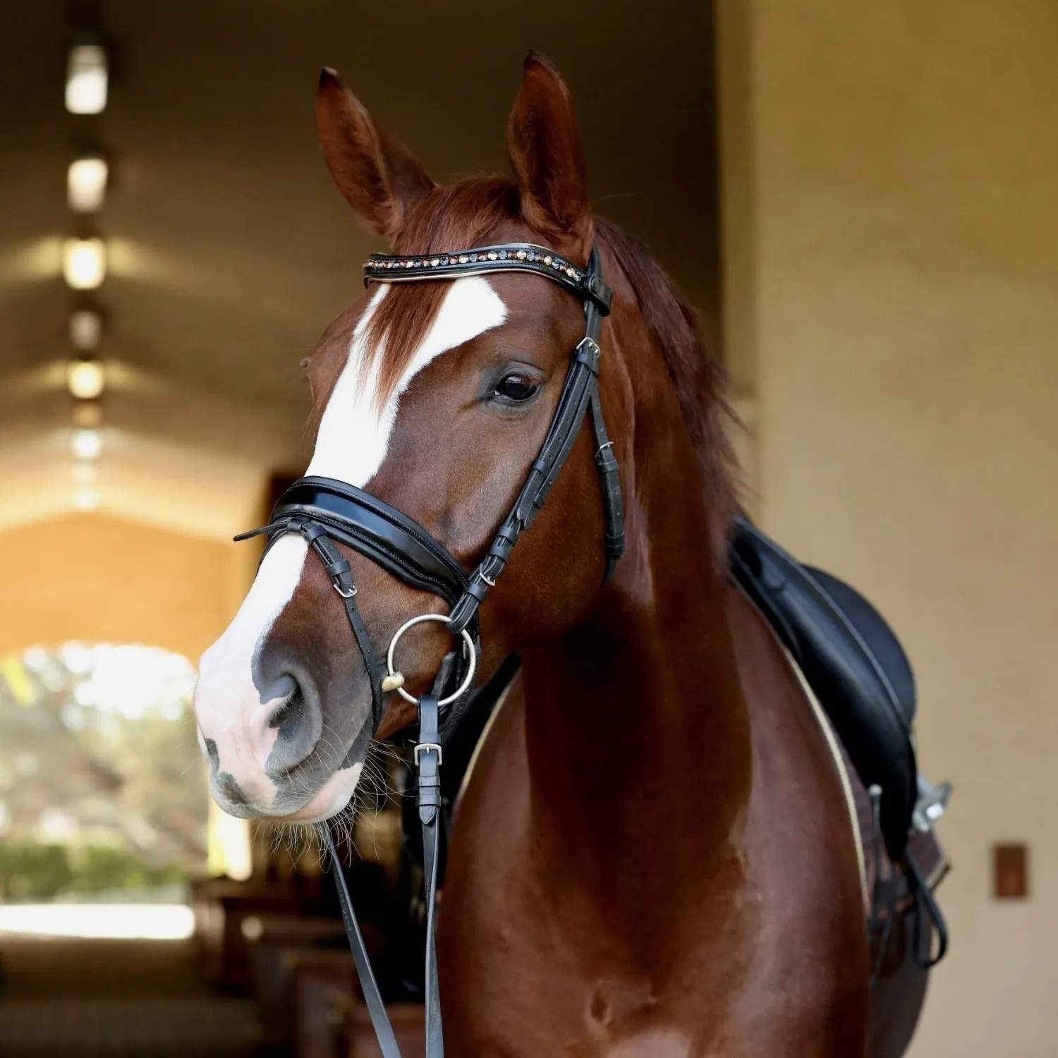 Lyamora Limited Edition Browband