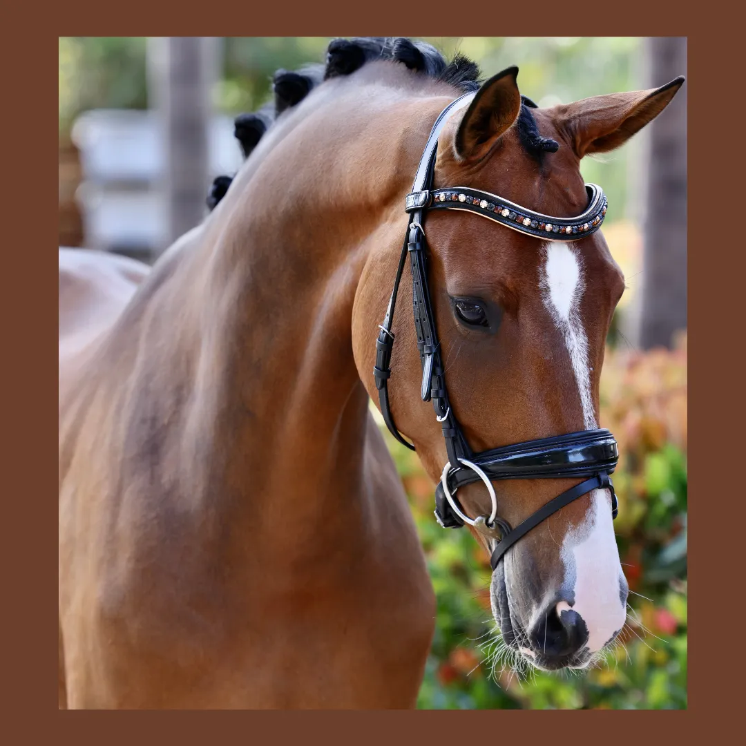 Lyamora Limited Edition Browband