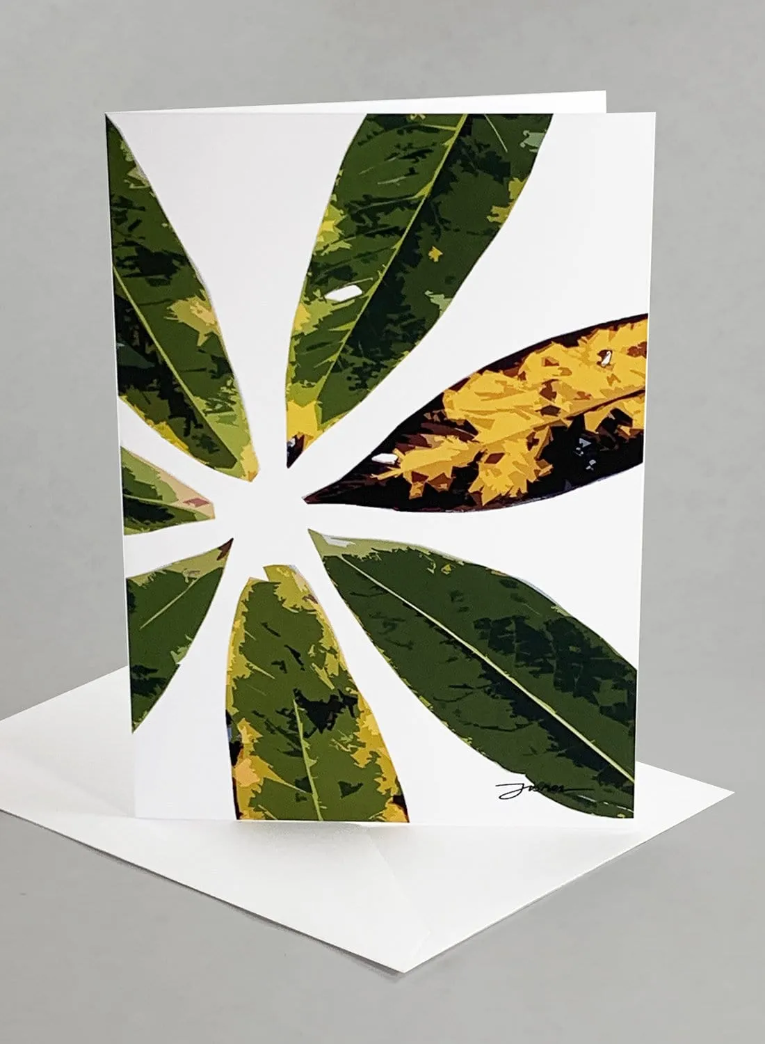 "Vashon Grove" Card Collection - Set of 6 Unique Designs