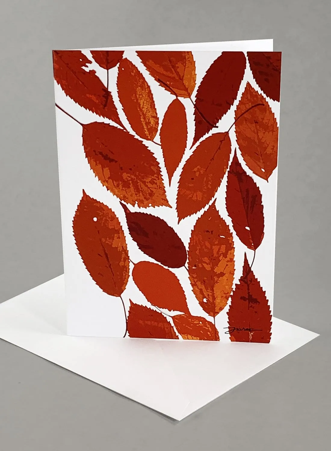 "Vashon Grove" Card Collection - Set of 6 Unique Designs