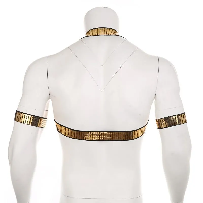 Shiny Gold Harness