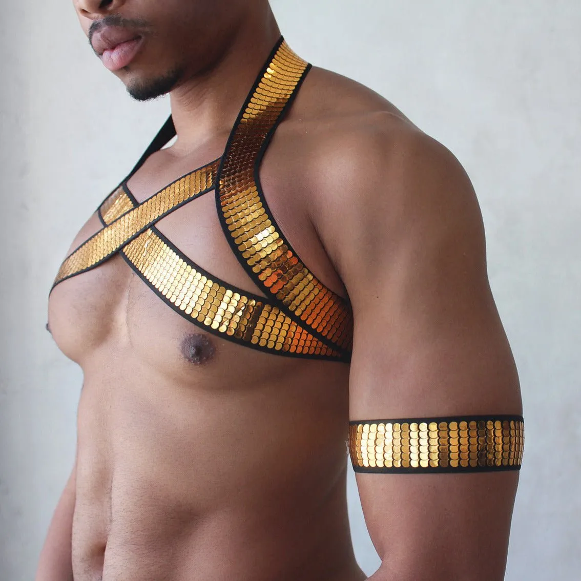 Shiny Gold Harness